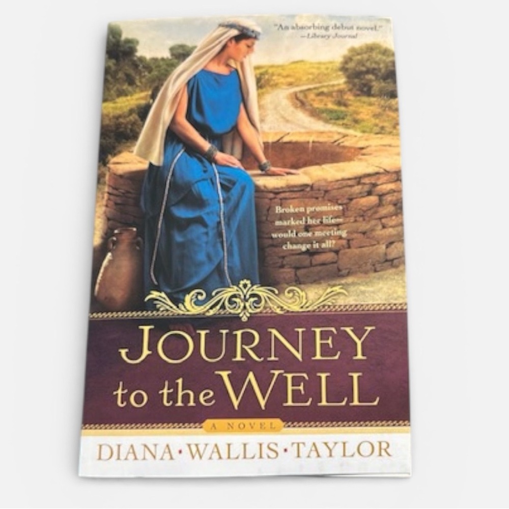 Journey to the Well by Diana Wallis Taylor